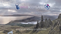 wildlife fim scotland